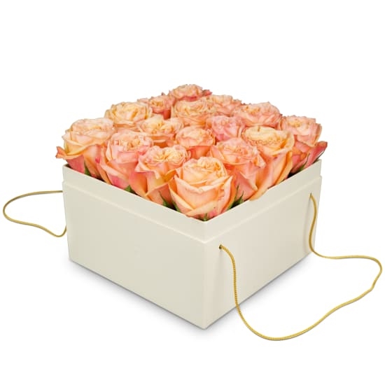 Blumenkasten «Wien» (20 cm)