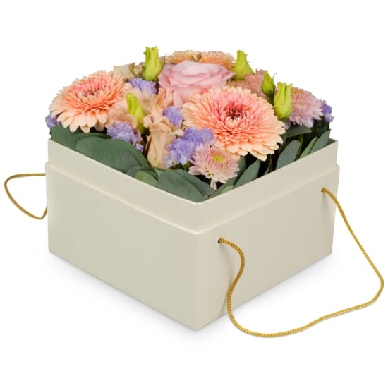 Blumenkasten «Barcelona» (15 cm)
