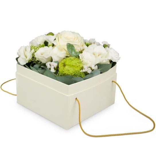 Blumenkasten «Dublin» (15 cm)