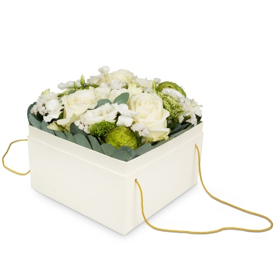 Blumenkasten «Dubli» (20 cm)