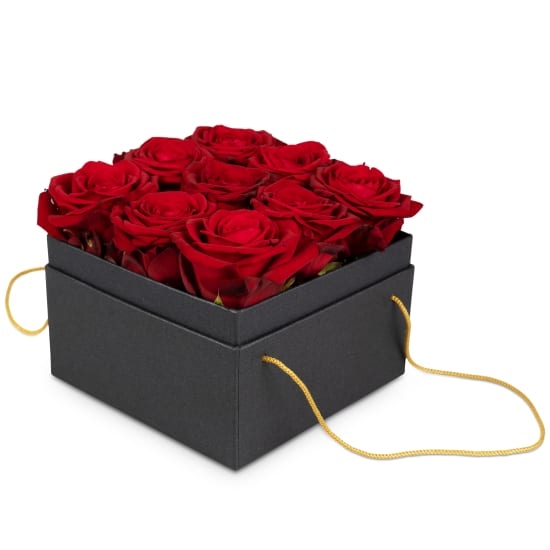 Blumenkasten «Paris» (15 cm)