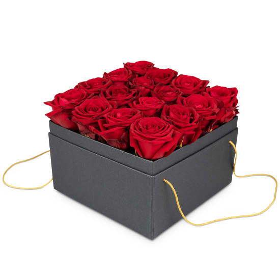 Blumenkasten «Paris» (20 cm)