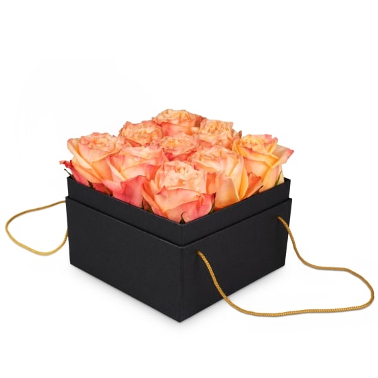 Blumenkasten «Marseille» (15 cm)