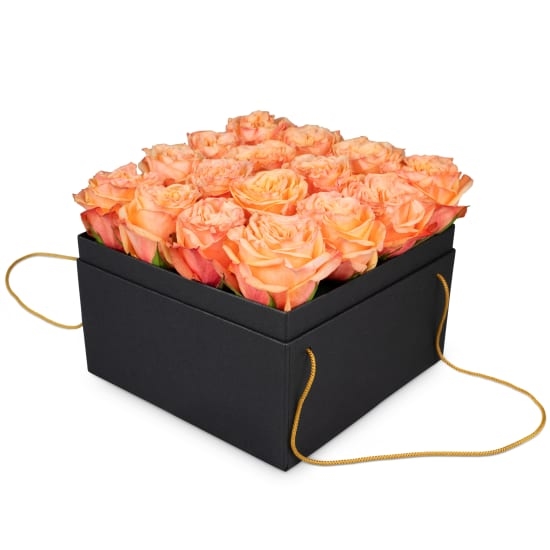 Blumenkasten «Marseille» (20 cm)