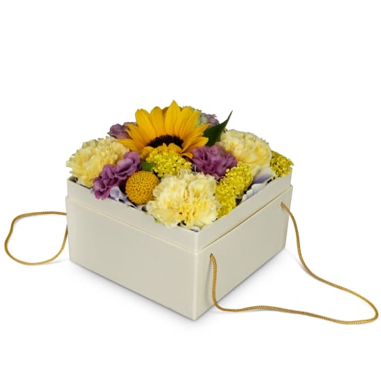Blumenkasten „Arles“ (15 cm)