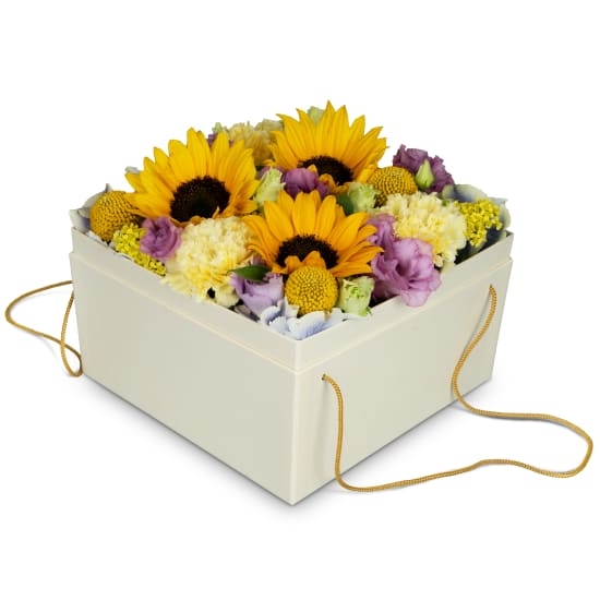 Blumenkasten „Arles“ (20 cm)