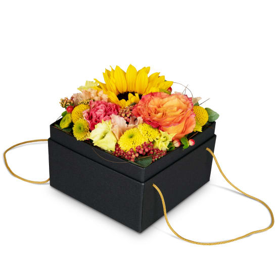 Blumenkasten «Cuzco» (15 cm)
