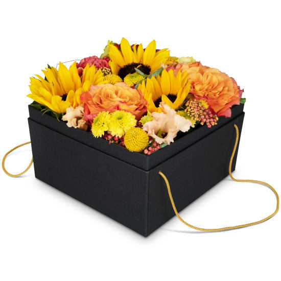 Blumenkasten «Cuzco» (20 cm)