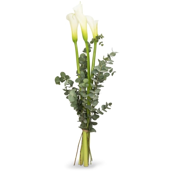 White Elegance (Minimum)