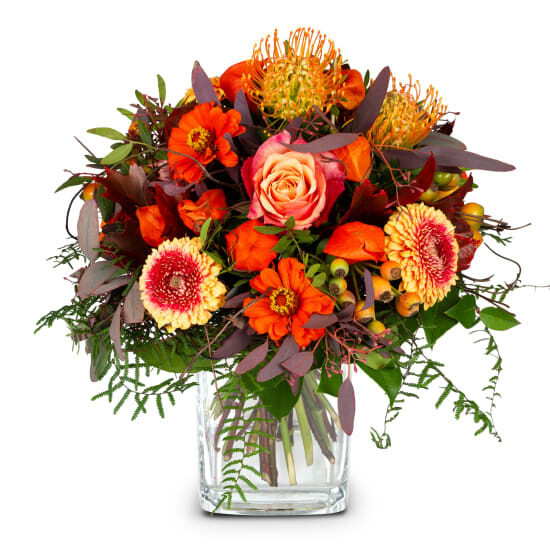 Spirit of Indian Summer (Minimum)
