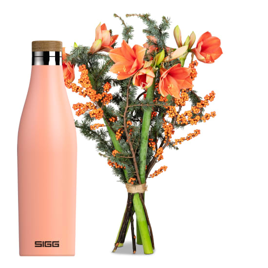 Wintergedicht mit Meridian Shy Pink 0,5 l (Minimum)