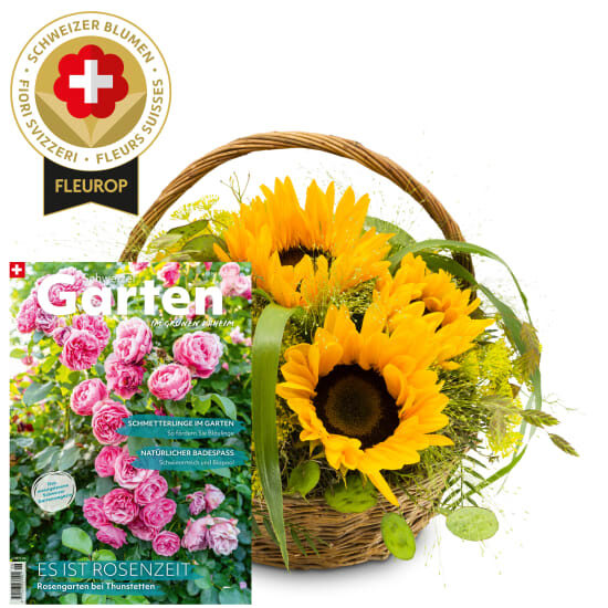 Sonnenblumenarrangement mit Schweizer Blumen und Magazin «Schweizer Garten»