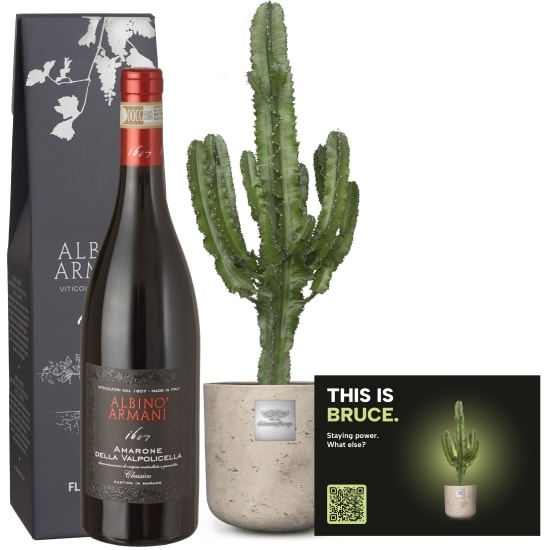 Mannerpflanze «This is Bruce» (Euphorbia) mit Amarone Albino Armani DOCG (75 cl)