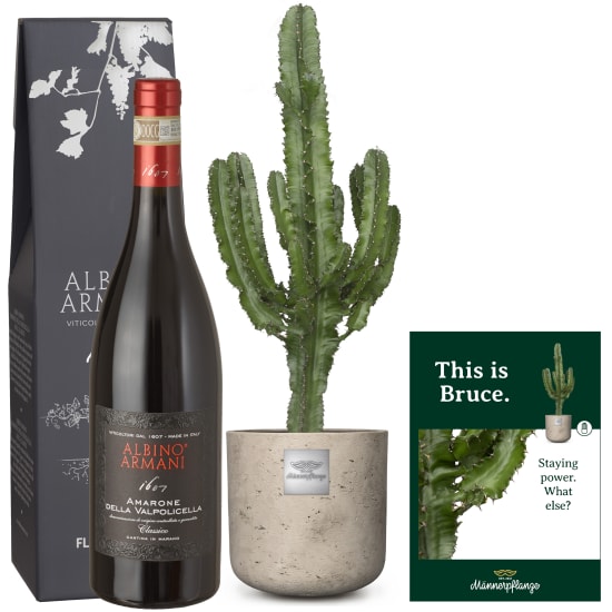 Das ist Bruce (Euphorbia) mit Amarone Albino Armani DOCG (75 cl)