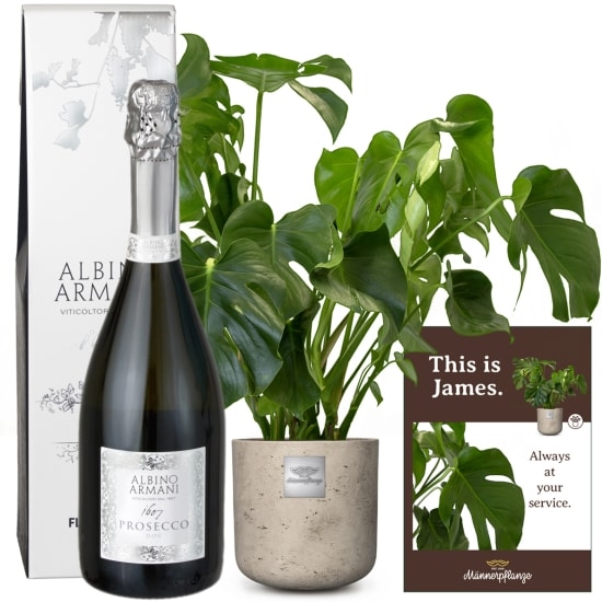 Das ist James (Monstera) mit Prosecco Albino Armani DOC (75 cl)