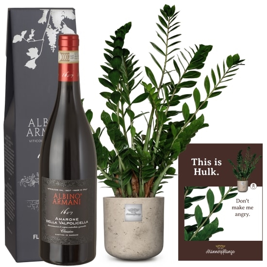 Das ist Hulk (Zamioculcas zamiifolia) mit Amarone Albino Armani DOCG (75 cl)