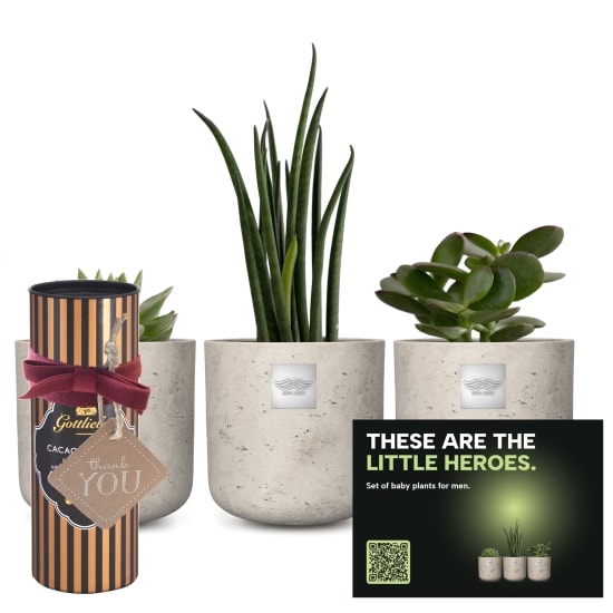 Set mit Babypflanzen für Männer «Little Heroes» mit Gottlieber Kakaomandeln und hängendem Geschenkanhänger «Thank You»