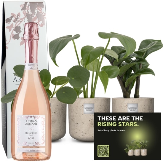 Set mit Babypflanzen für Männer «Rising stars» mit Prosecco Rosé Albino Armani DOC (75 cl)