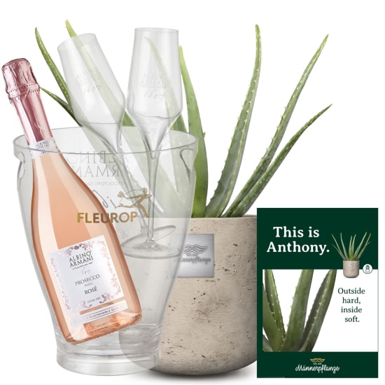 Das ist Anthony (Aloe Vera) mit Prosecco Rosé Albino Armani DOC (75 cl), inkl. Eiskühler und zwei Sektgläsern