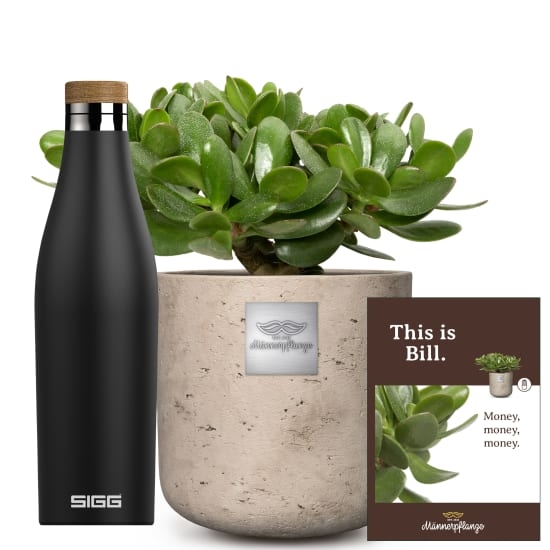 Das ist Bill (Crassula ovata) mit SIGG Wasserflasche Meridian Black 0,5L