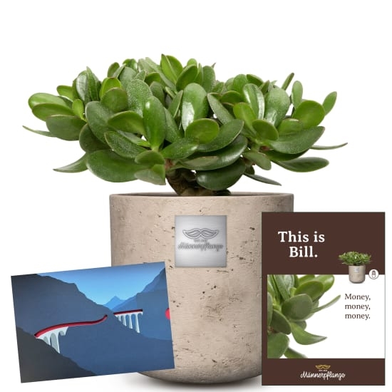Das ist Bill (Crassula ovata) mit einem Geschenkgutschein im Wert von CHF 50.- der Rhätischen Bahn