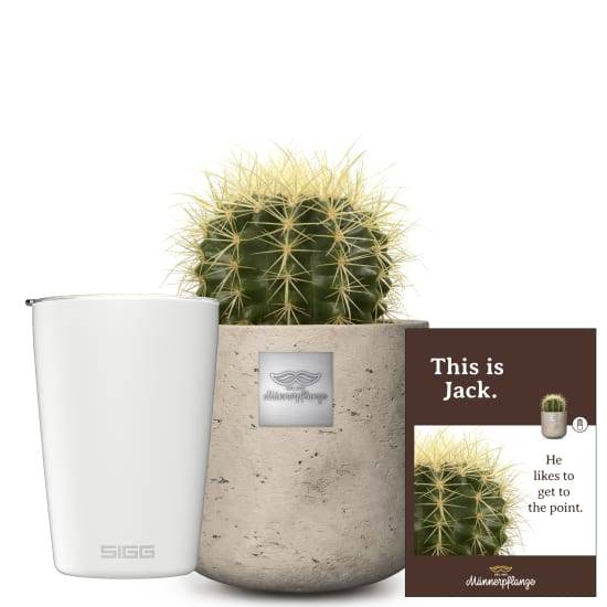 Das ist Jack (Echinocactus grusonii) mit SIGG Reisebecher NESO Cup Pure Ceram White 0,3L