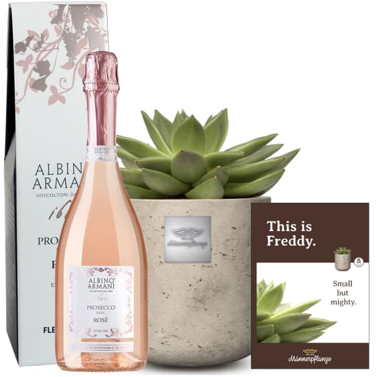 Das ist Freddy (Echeveria) mit Prosecco Rosé Albino Armani DOC (75 cl)