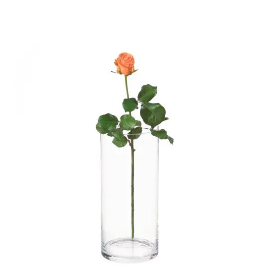 MyBouquet 10 orange Rosen