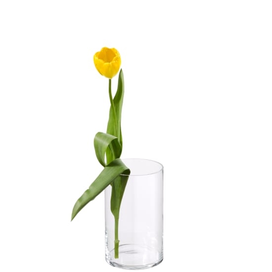 MeinBouquet «15 gelbe Tulpen»_x000D_