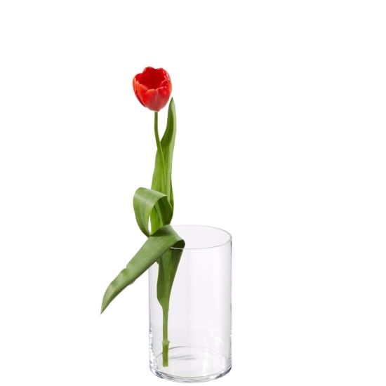 Mein Strauß «15 rote Tulpen»_x000D_