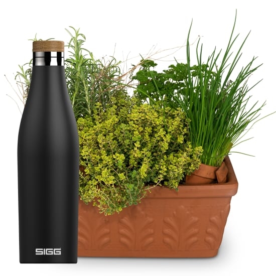 Kräuterbox mit SIGG Wasserflasche Meridian Black 0,5L