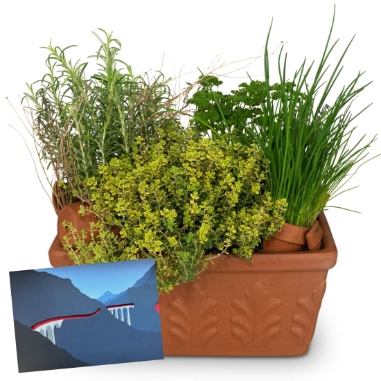 Kräuterbox mit einem CHF 50.- Geschenkgutschein der Rhätischen Bahn