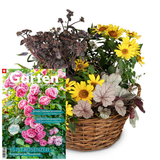 Indian Summer-Garten mit Magazin «Schweizer Garten»