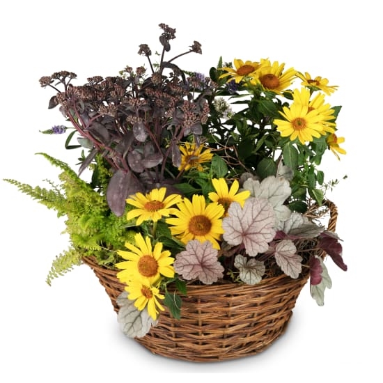 Indischer Sommergarten