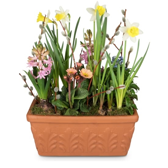 Fröhlicher kleiner Frühlingsgarten (Minimum)