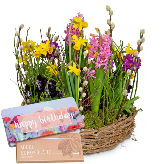 Pflanzgefäß „Bunter Frühlingskranz“ mit Munz-Schokoladentafel „Alles Gute zum Geburtstag“