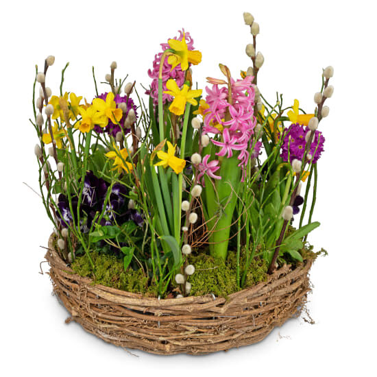 Pflanzgefäß „Bunter Frühlingskranz“