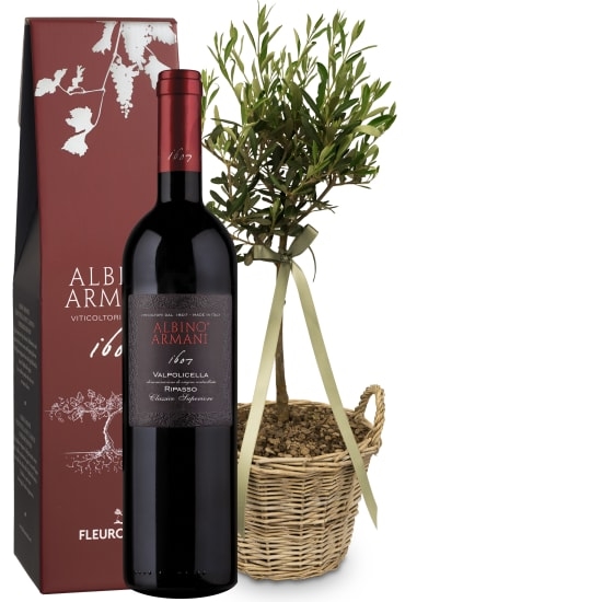 Olivenbaum «Sommertraum» mit Ripasso Albino Armani DOC (75 cl)