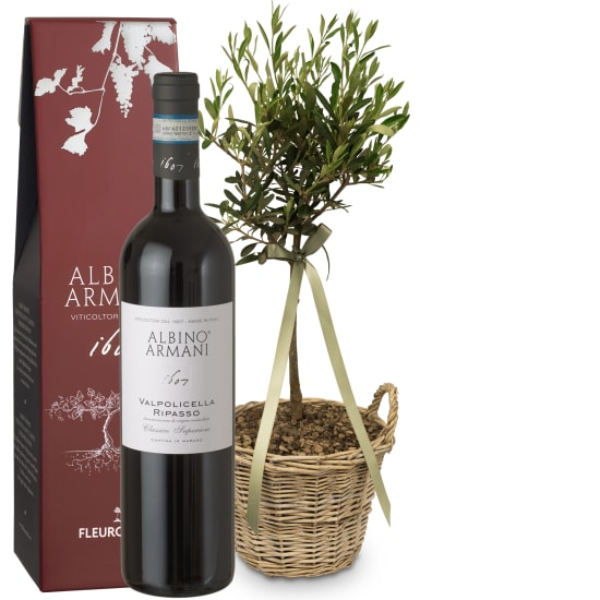 Sommertraum (Miniatur-Olivenbaum) mit Ripasso Albino Armani DOC (75 cl)